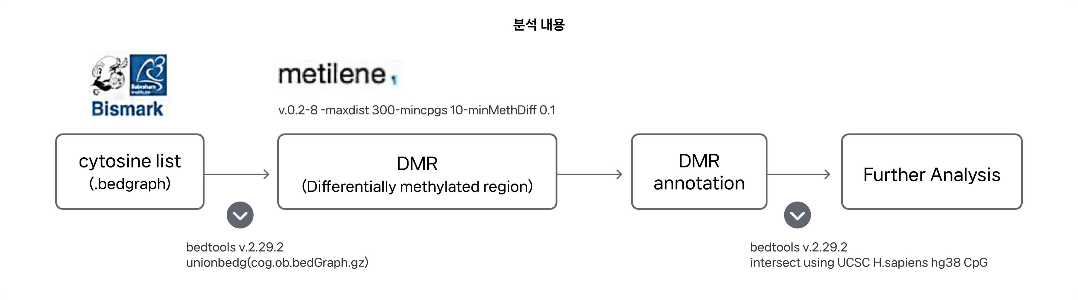 분석 내용