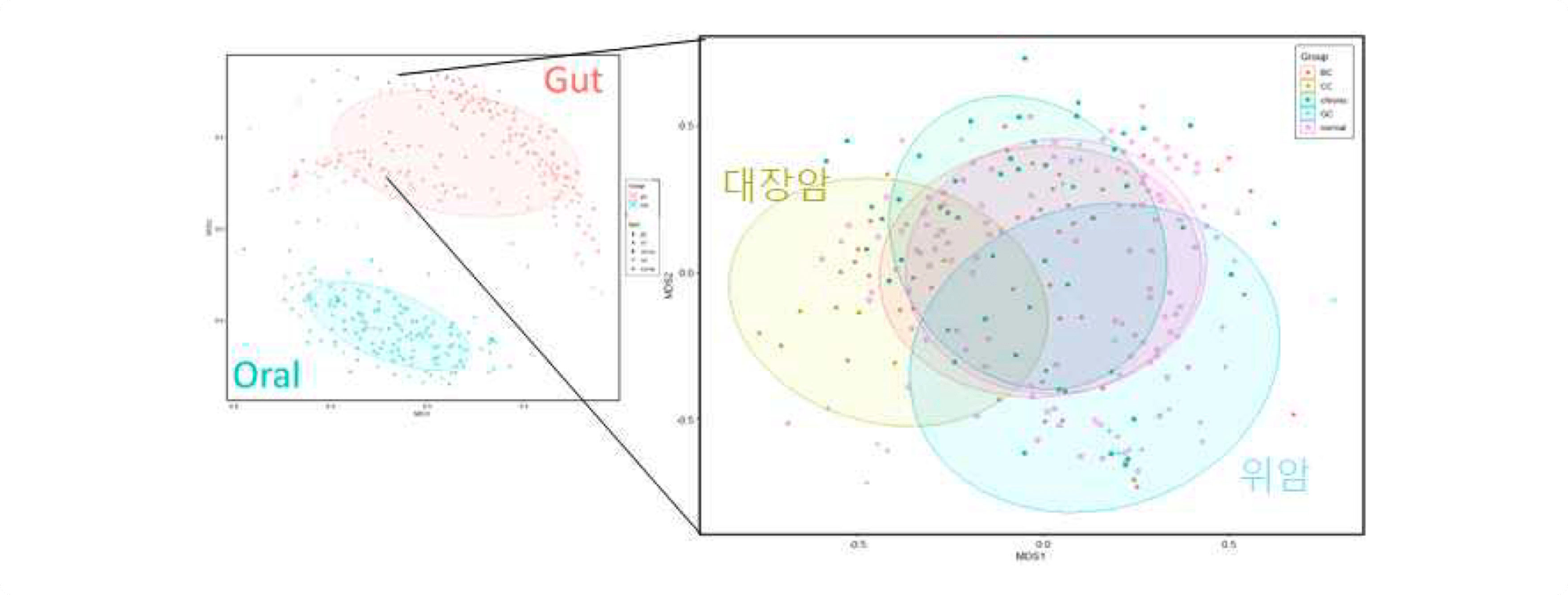 Significant Abundance Taxon