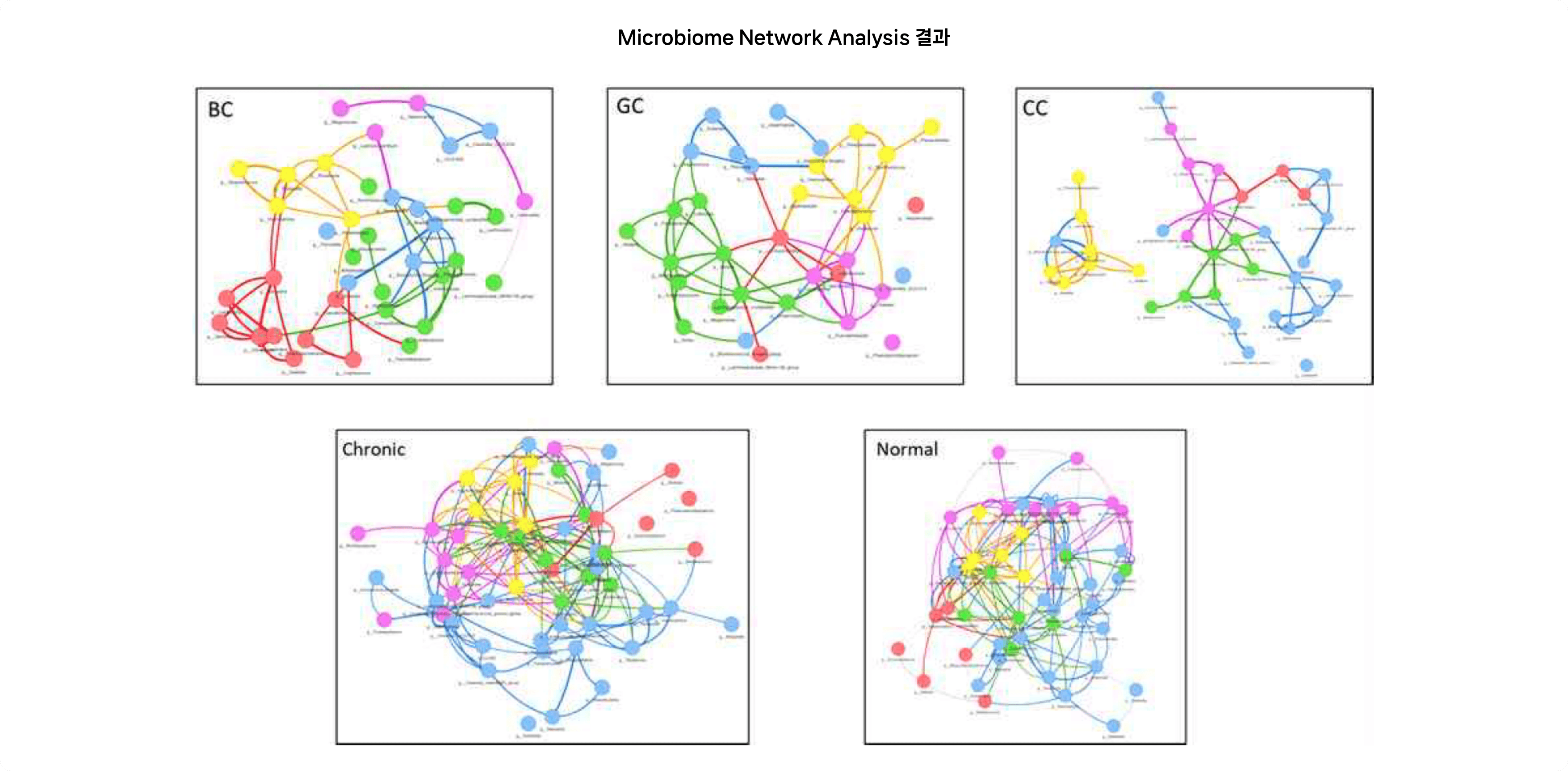 Microbiome Network Analysis 결과