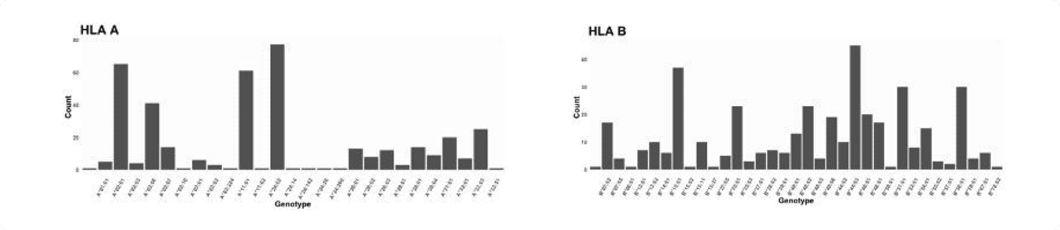 HLA-A/B의 sub-allele 별 빈도 분포 (Field 2 기준)