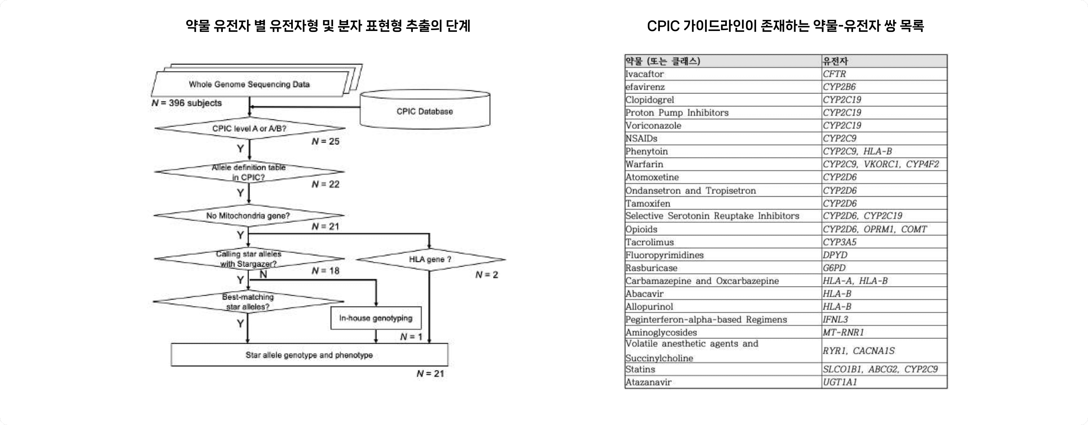 약물 유전자 별 유전자형 및 분자 표현형 추출의 단계 & CPIC가이드라인이 존재하는 약물-유전자 쌍 목록