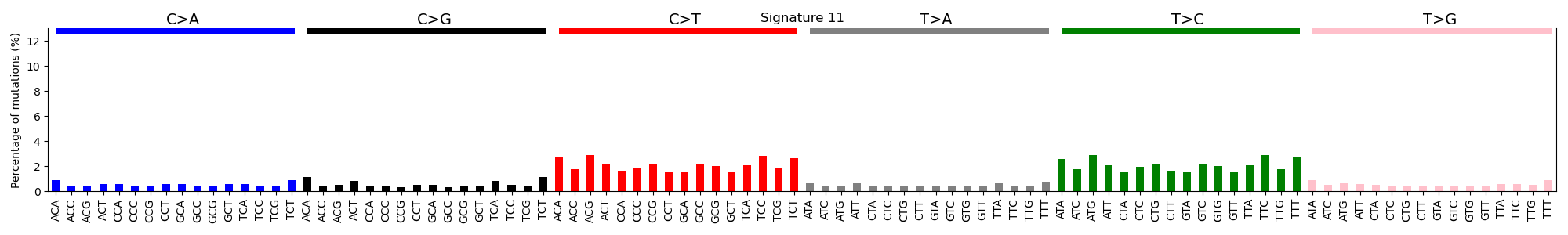 Fig15. Signature 11